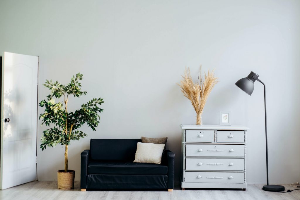 Room decorating with furniture,plants and lights