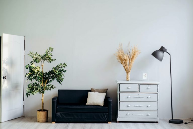 Room decorating with furniture,plants and lights